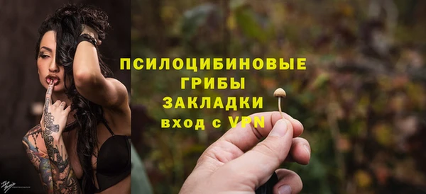 гидра Липки