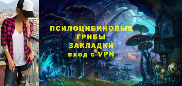 гидра Липки