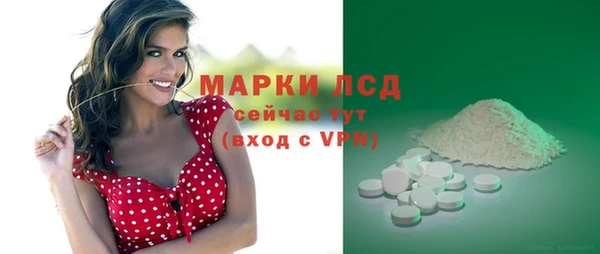 гидра Липки