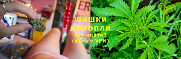 гидра Липки